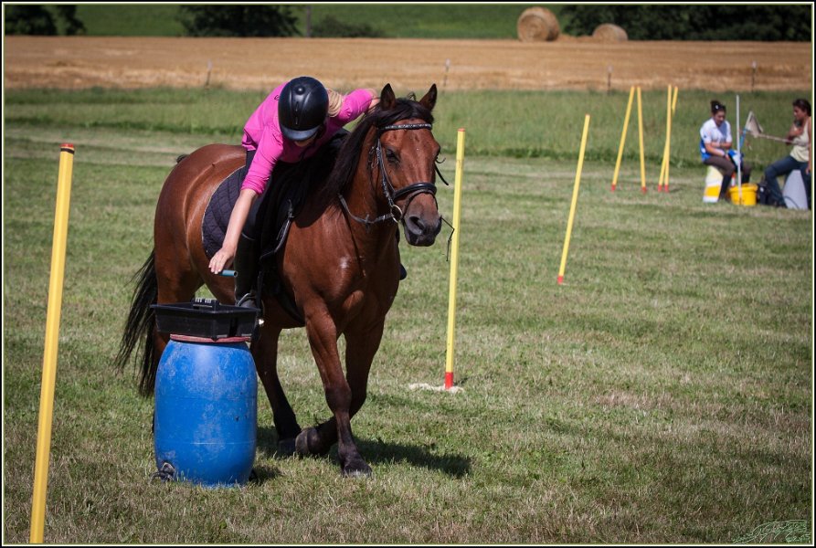 Mounted Games 261